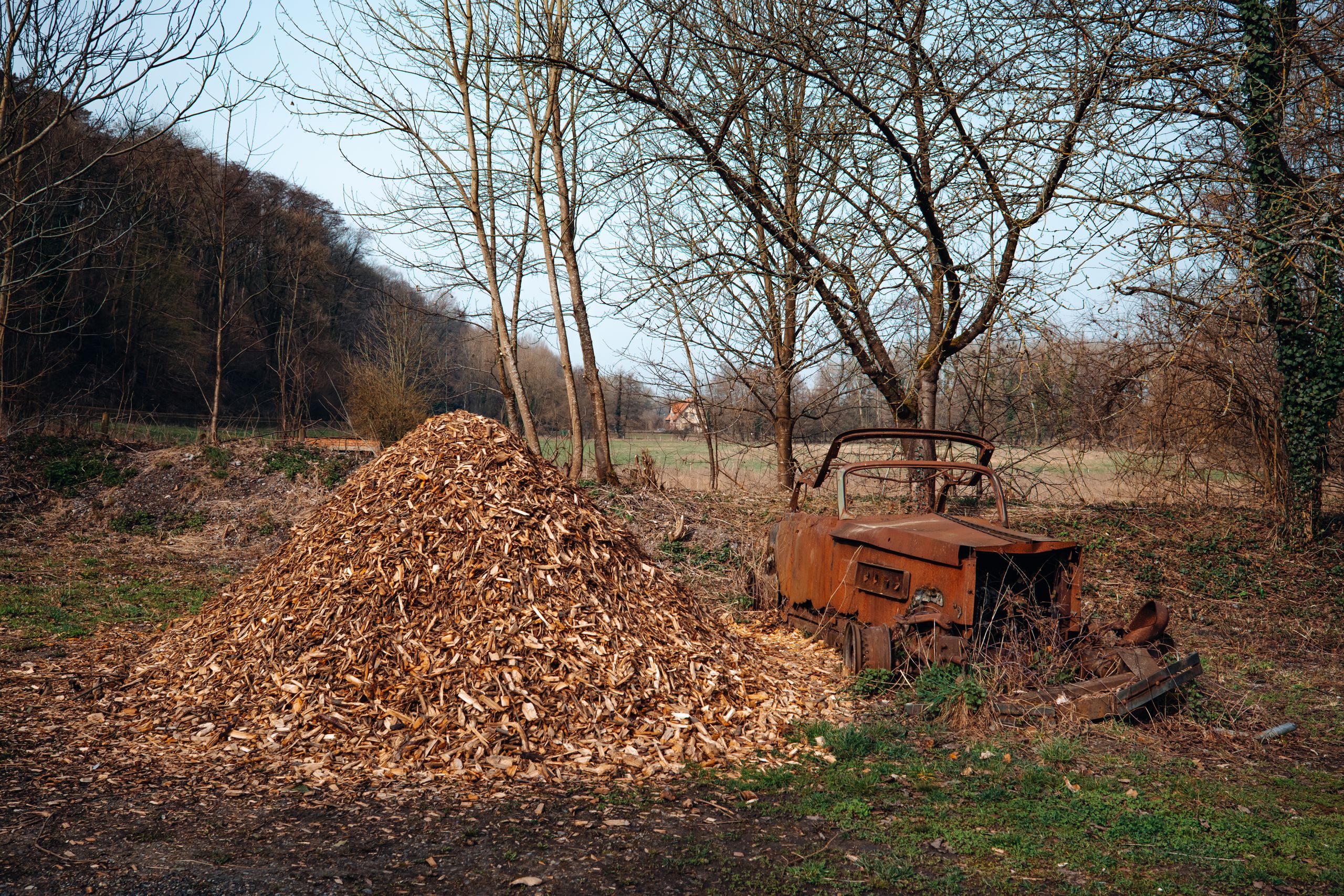 Mulching 101: Save Water, Suppress Weeds, and Build a Healthier Garden