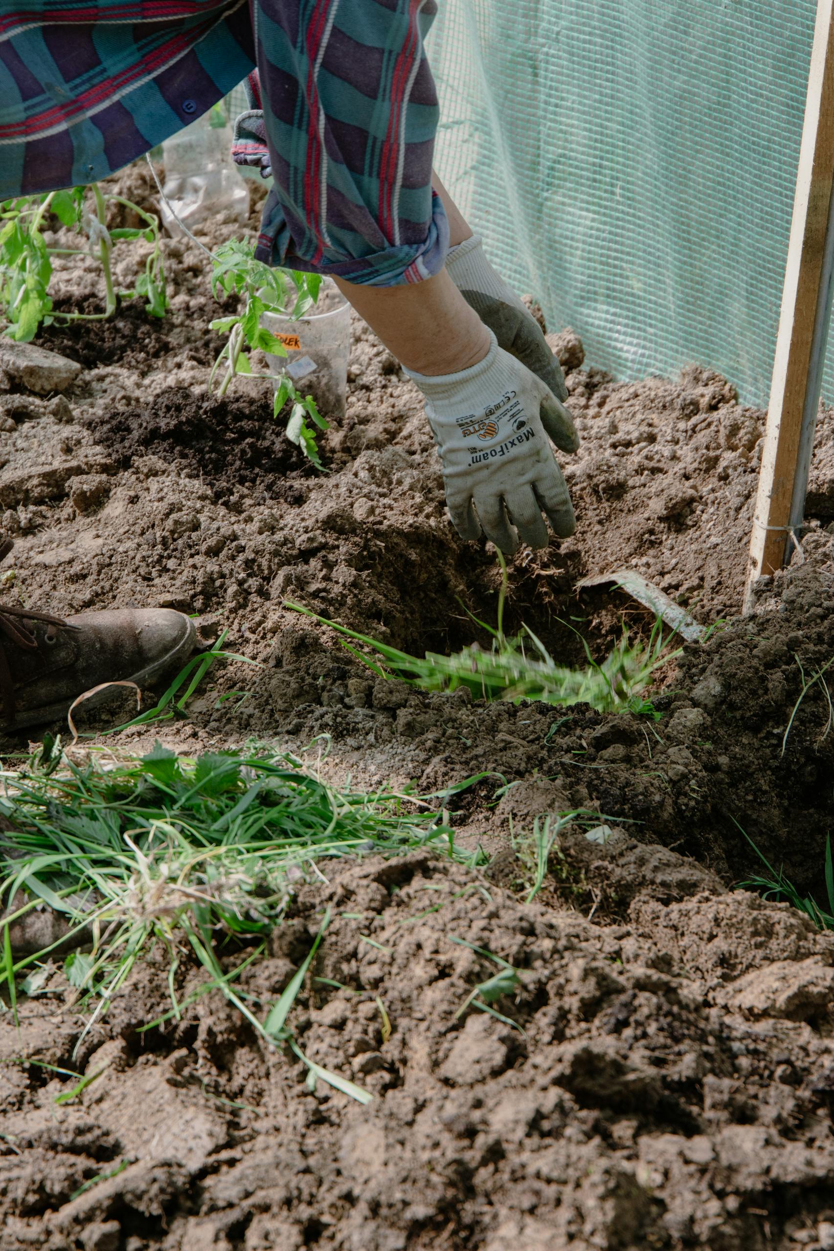 Understanding Your Soil: The Secret to a Successful Organic Garden