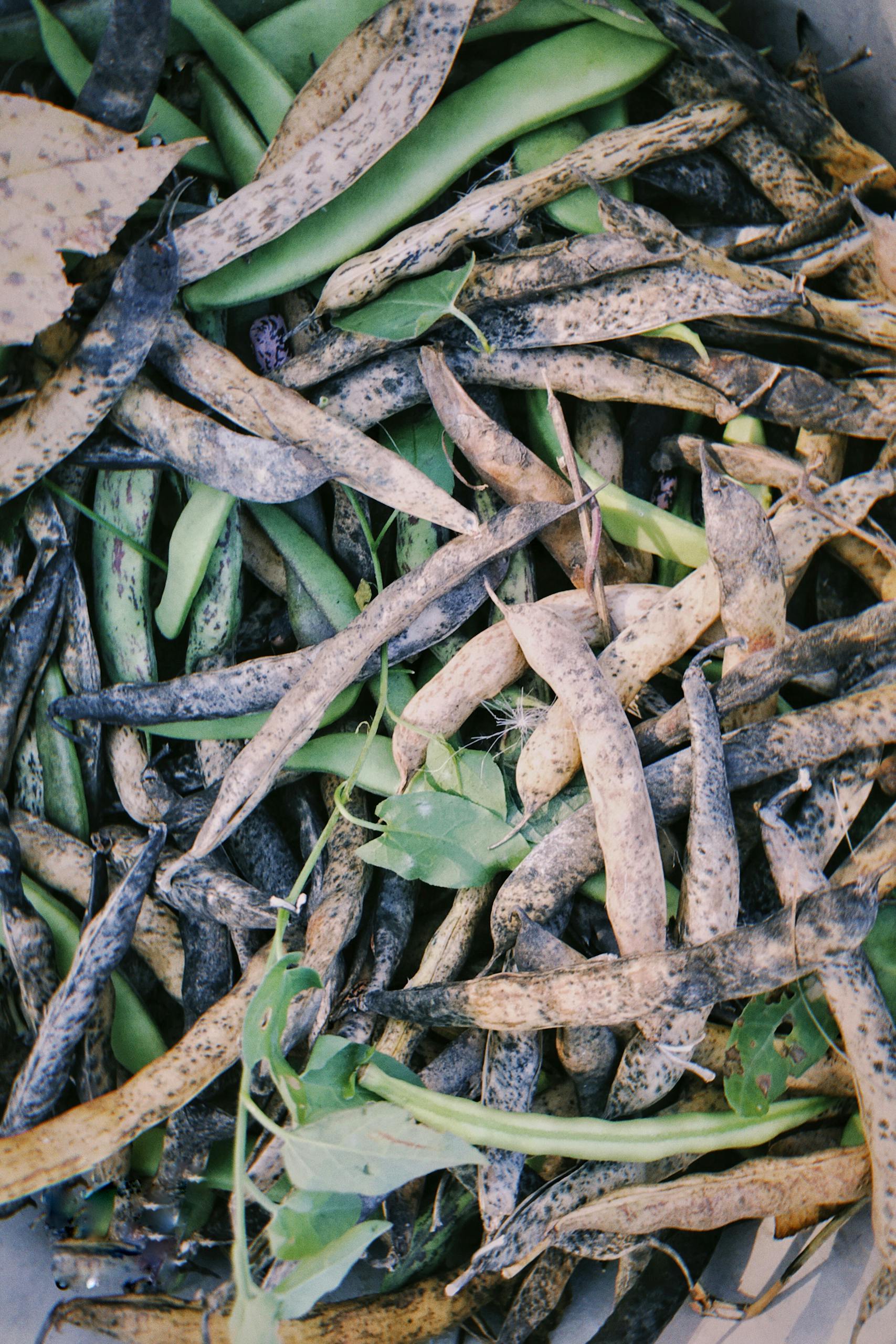 7 Common Composting Mistakes Beginners Make (And How to Fix Them)