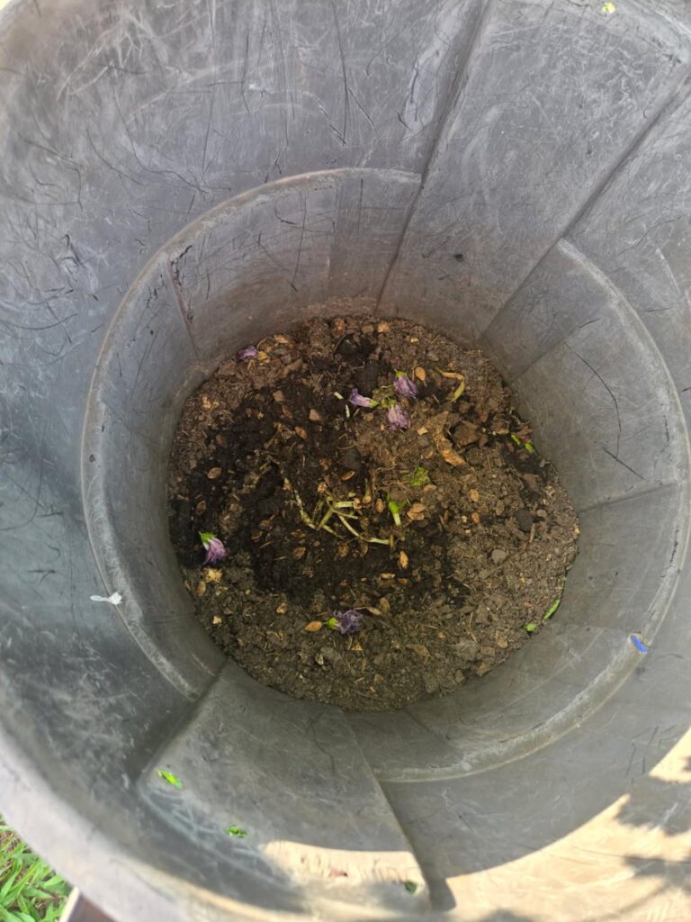 How Long Does Compost Take? Understanding the Composting Timeline