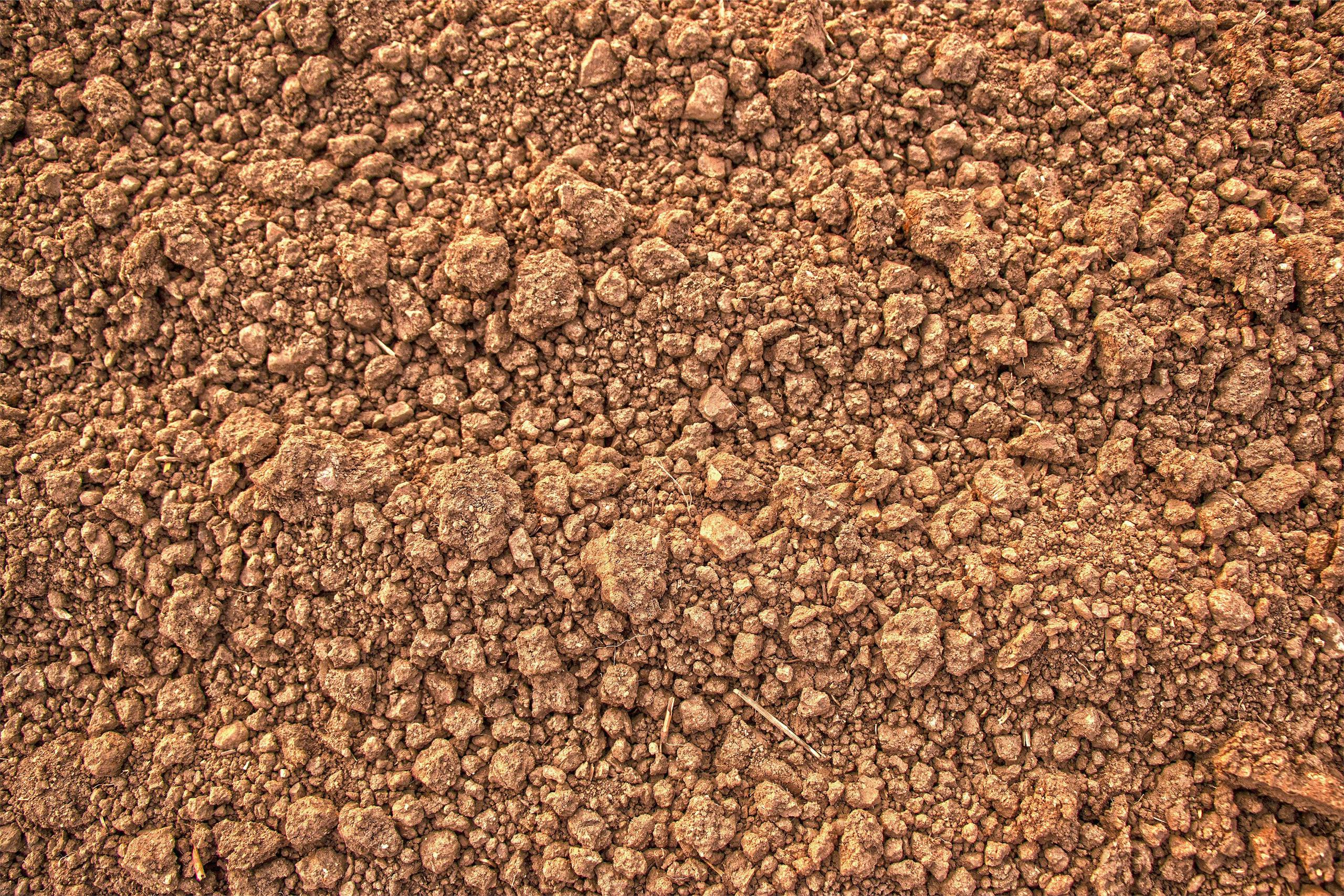 Composting & Soil Building 101: Why Dirt Isn’t Just Dirt