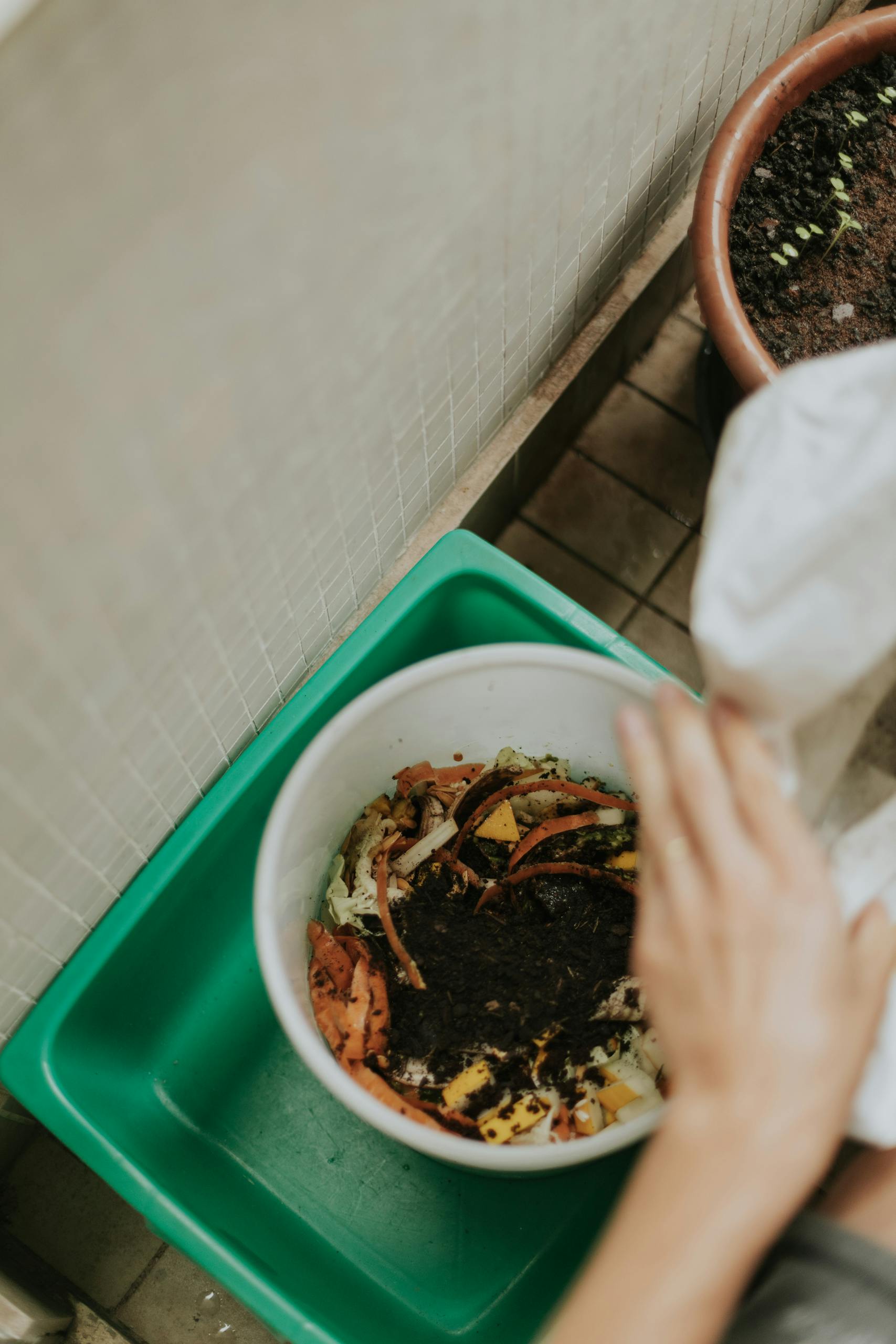 What Is Compost?: A Beginner’s Guide to Nature’s Best Soil Builder