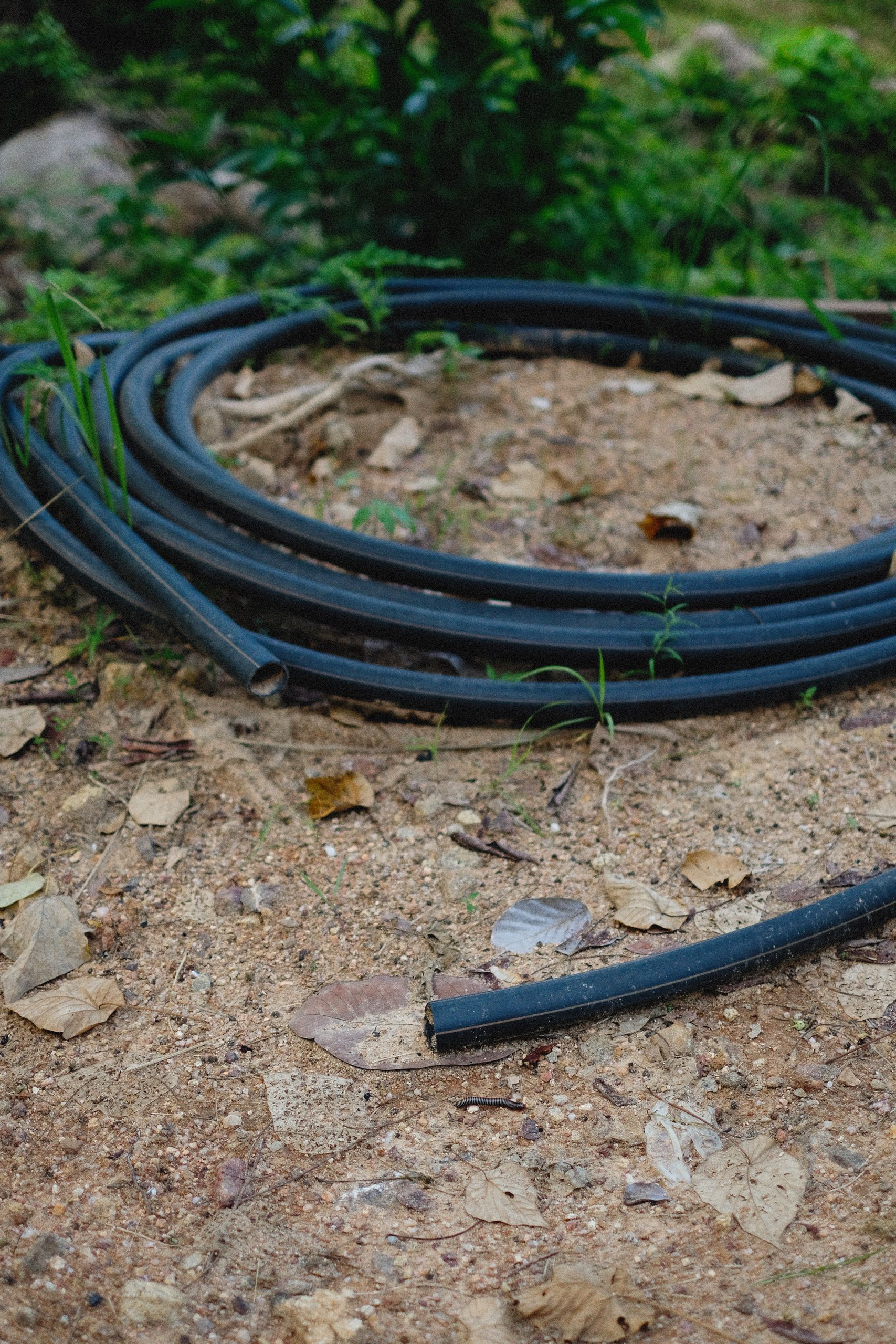 How drought and extreme heat affect compost and soil during summer