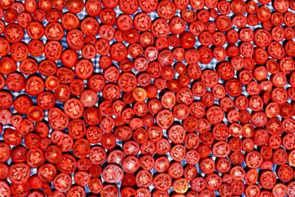 Freezing vs. canning vs. dehydrating tomatoes from a garden harvest