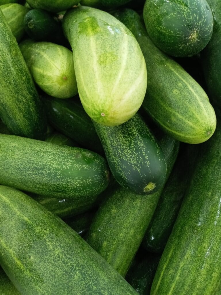 How to Store Fresh Cucumber’s So They Last Longer