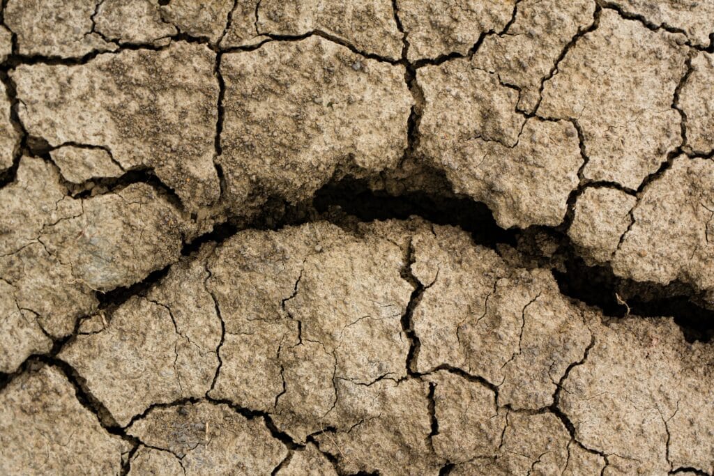 Soil compaction causing deep cracks in a garden bed