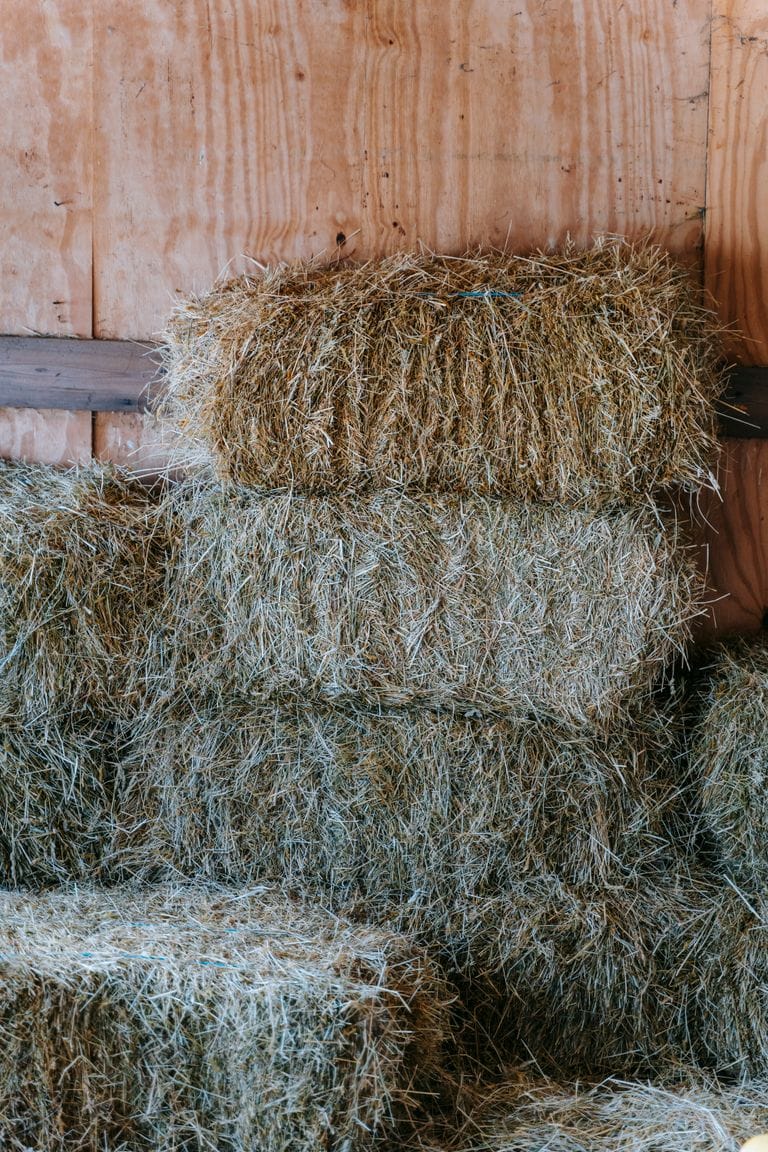 Close-up view of dry hay bales stacked neatly in a rustic wooden barn indoors.